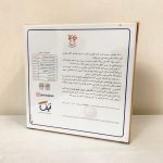 خرید و قیمت بازی چاپلا مدل لپف حرفه ایی