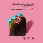 خرید بازی خوکی